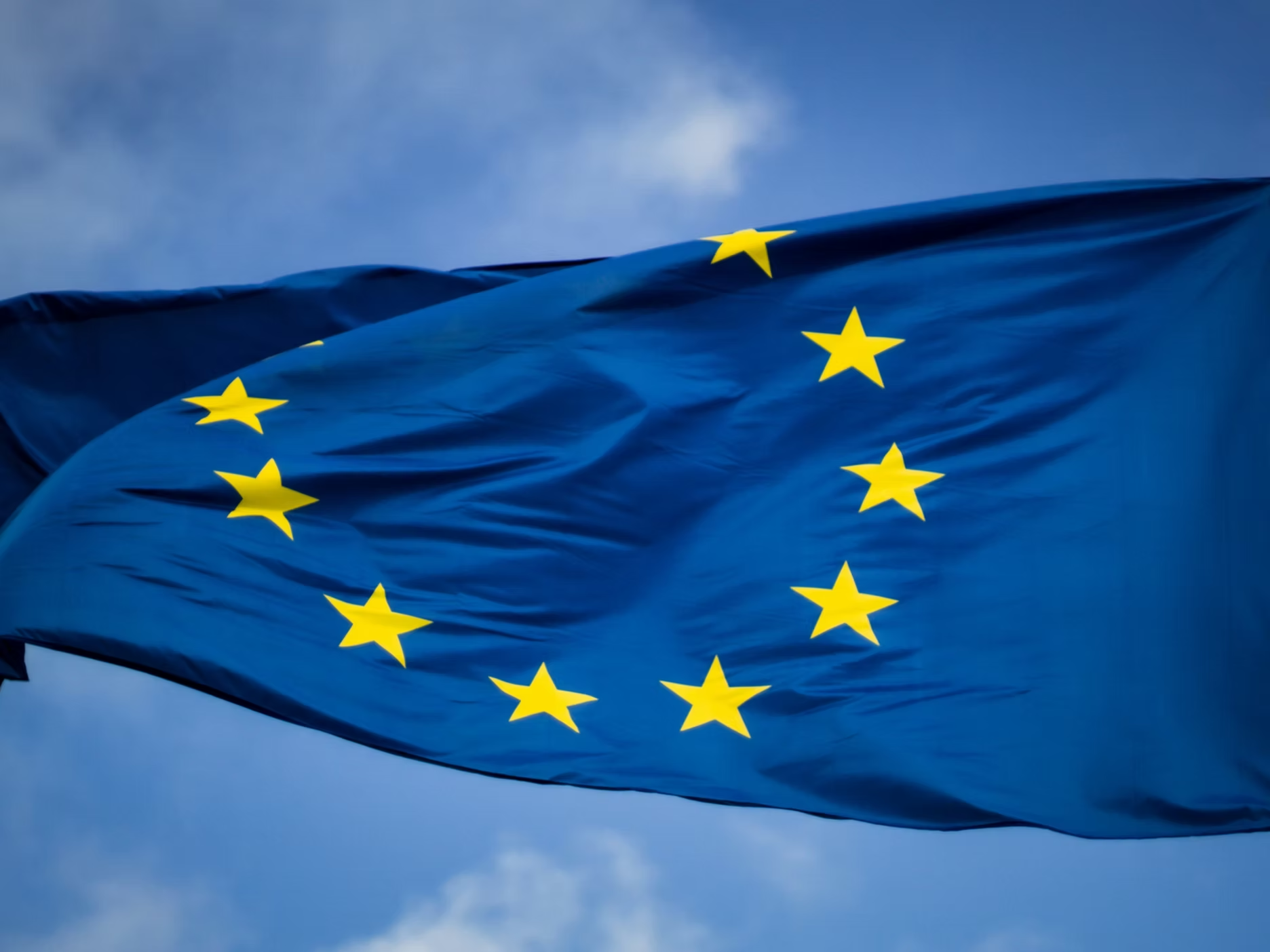 Strategic Challenges and Emerging Opportunities for EMEA Asset and Wealth Managers in 2025